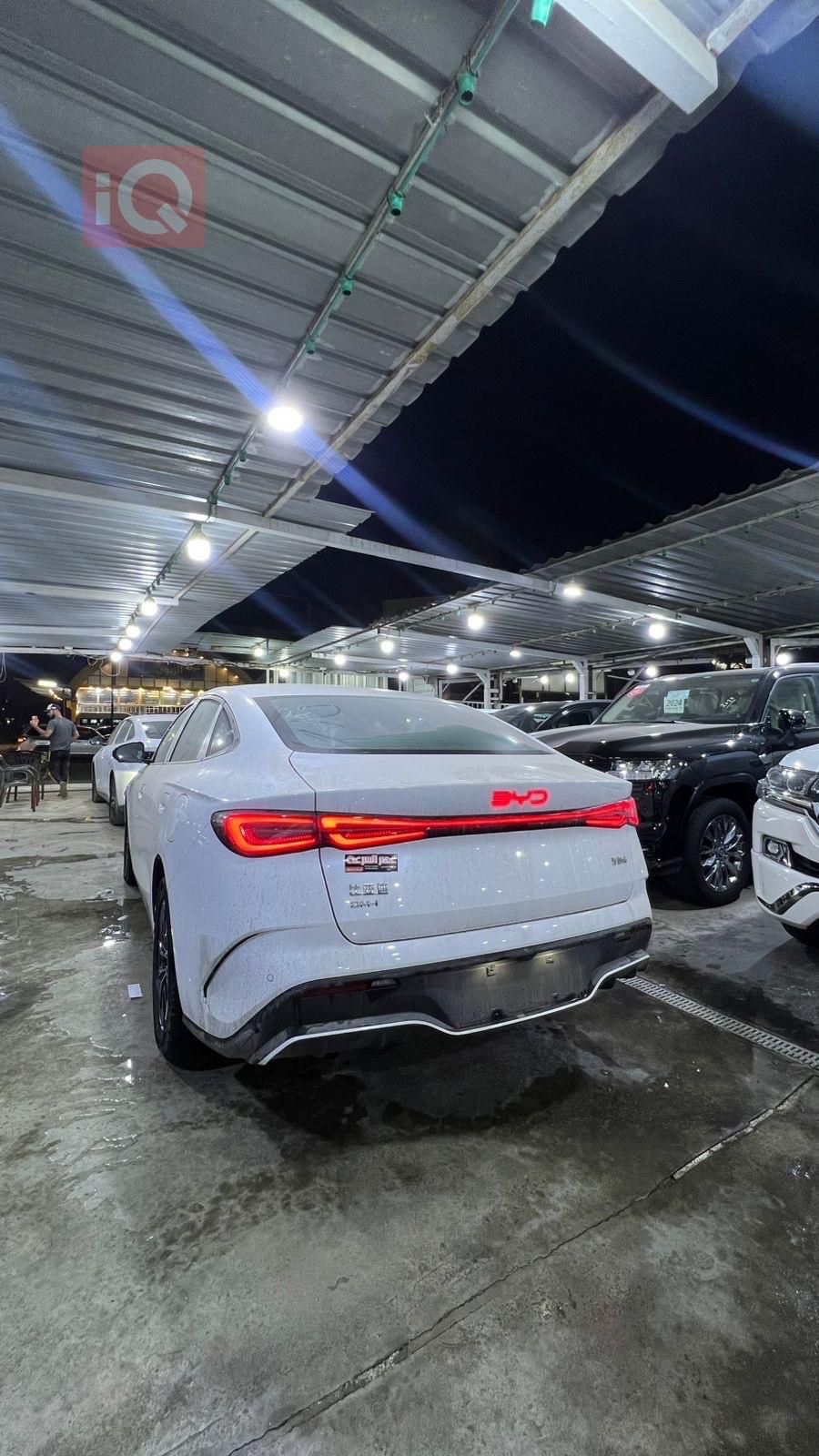 بي واي دي سيل 06 DM-i